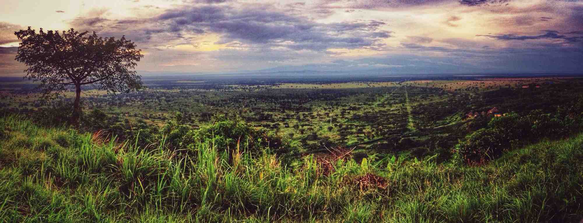 Queen-Elizabeth-National-Park-Uganda-scaled