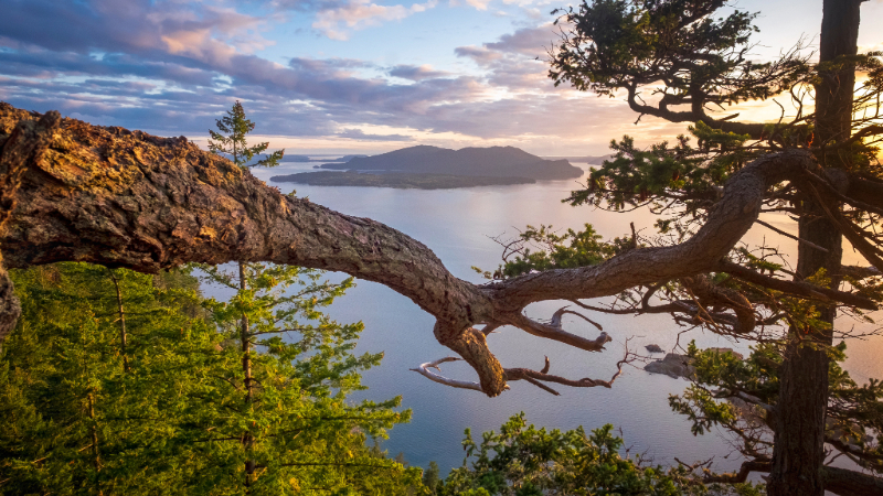 Overlook on Lummi Island, San Juan Islands, Washington, USA