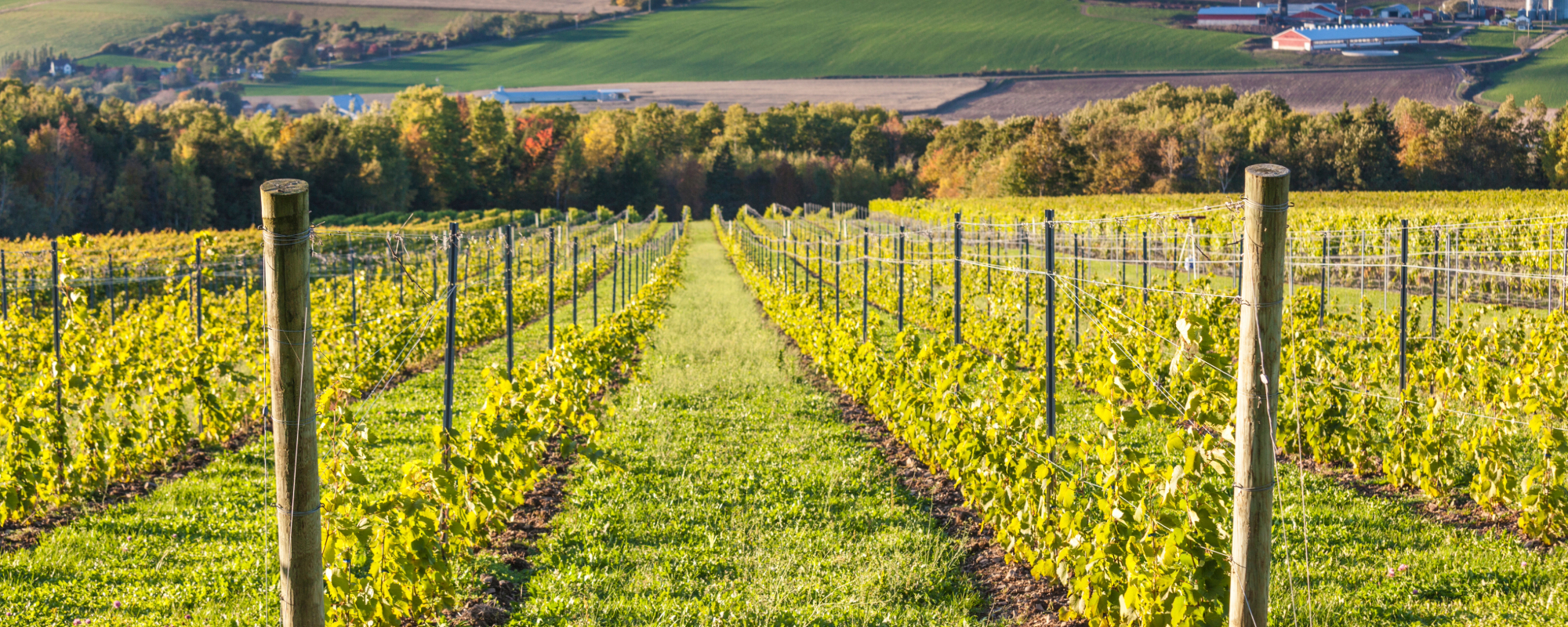 Annapolis Valley, Nova Scotia