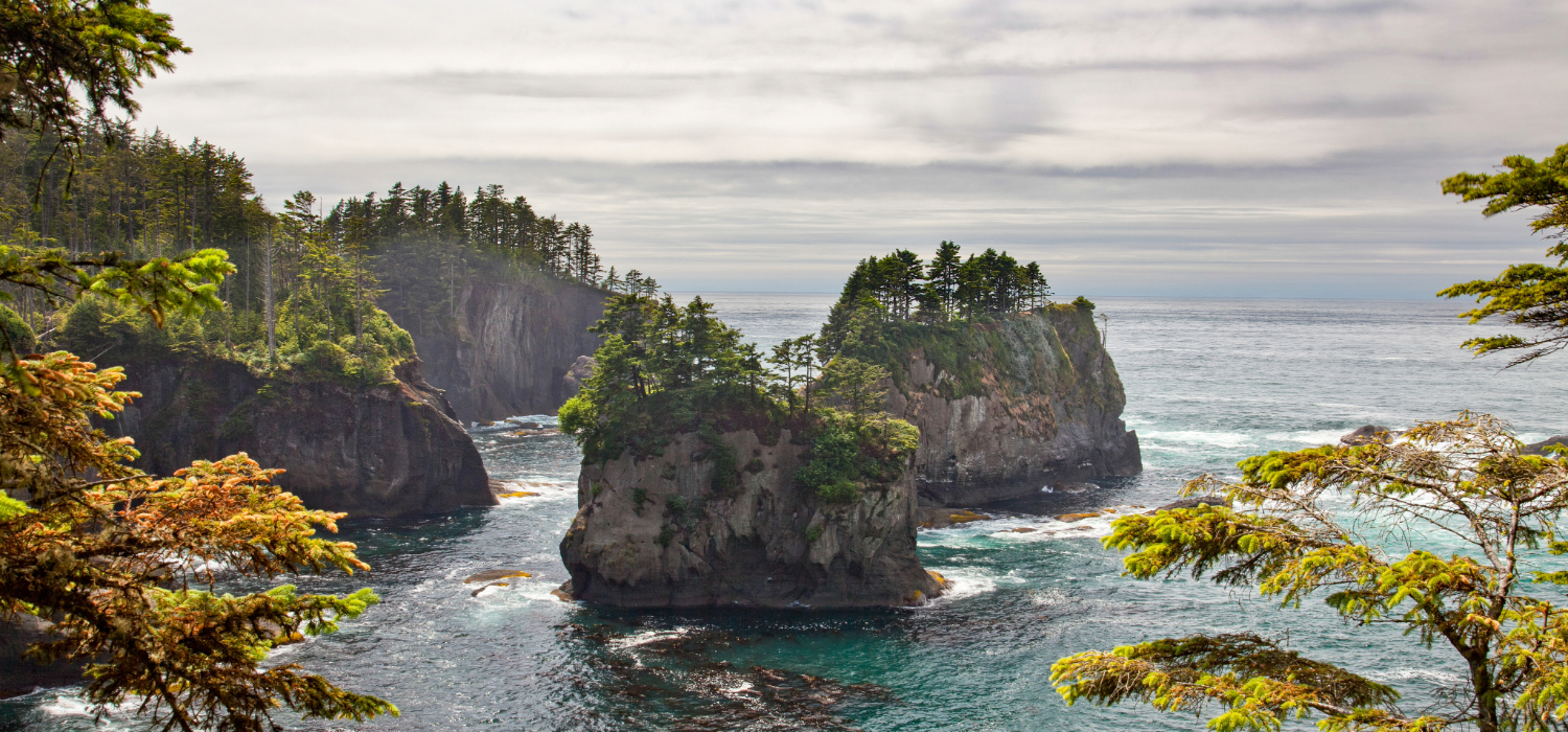 Olympic National Park Coastline