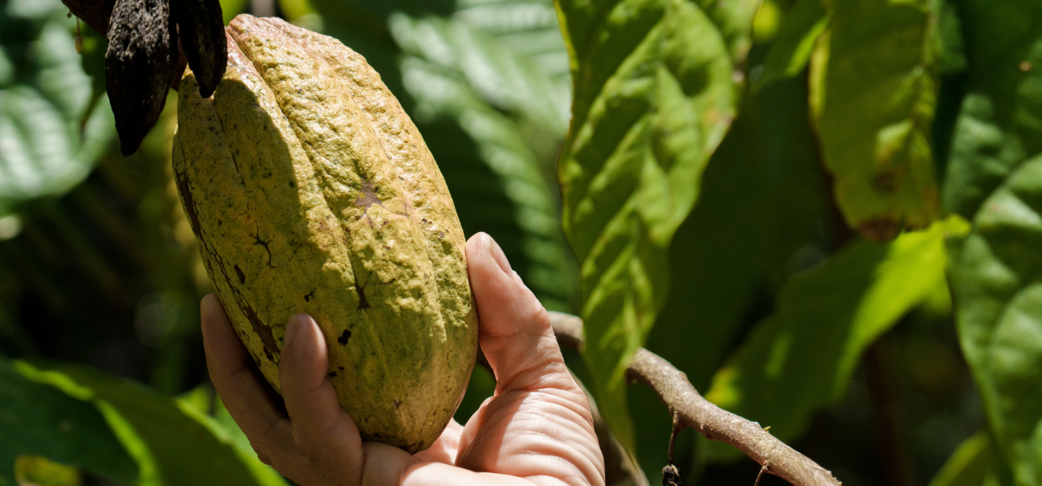 STEM Tour Ideas -COSTA RICA-1 (2)