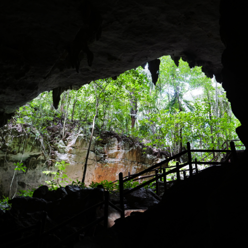 STEM Tour Ideas – belize-5
